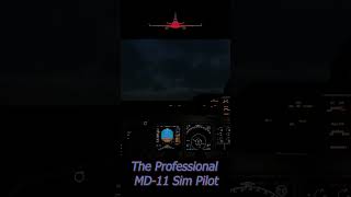 Low Altitude GO AROUND at JFK MD11F XPlane 12 [upl. by Yatnod460]