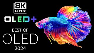 BEST OF OLED  Unlimited Vision in 8K HDR  Dolby Vision™ [upl. by Milon]