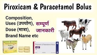 Piroxicam amp Paracetamol Bolus [upl. by Kokaras]