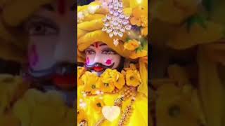 Hare k sahare ki Jai Jai shree khatu shyam baba ji ki jai ❤️❤️shayam diwanijab Jan haar k shayam [upl. by Buller]