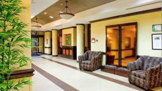 holiday Inn Hotel amp Suites TampaUSF Busch Gardens  Tampa Florida [upl. by Neve]