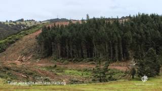 Watch a forest being harvested in this NFP timelapse video [upl. by Eshman]