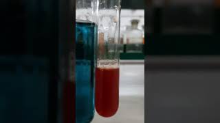 Liebermanns test for phenol chemistry practical class12 [upl. by Etteval]