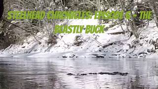 MASSIVE Winter Steelhead on the FLY INTENSE  Skeena Watershed [upl. by Yelserp223]