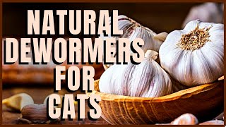 Natural Dewormers For Cats [upl. by Godliman]