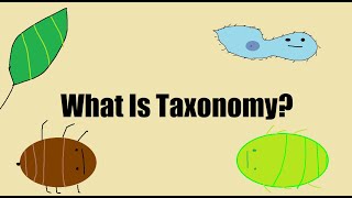 What is Taxonomy [upl. by Marvel]