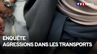 Agressions dans les transports  immersion au cœur dune brigade de police spécialisée [upl. by Geno]