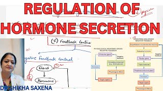 Feedback control neural control chronotrophic control of hormone secretion [upl. by Amahs]