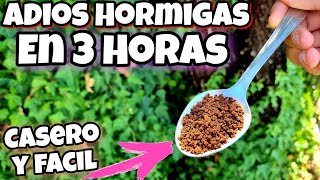 8 REMEDIOS CASEROS para AHUYENTAR las MOSCAS 🧄✅ ¡Descúbrelos [upl. by Ceporah448]