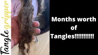 Extremely Matted hair  Step by Step Guide HOW to brush out tangles the Best Way [upl. by Kciredohr]