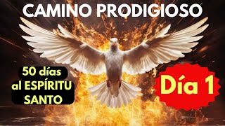 50 DIAS al ESPÍRITU SANTOCAMINO PRODIGIOSO a las bendicionesDIA 1 🔥 [upl. by Shanon]