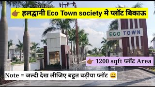 Plot for sale haldwani Eco Town society कॉल 7088432787 [upl. by Melicent]