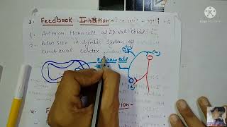 Synaptic transmission 2chart of EPSP and IPSP Types of Inhibition in synapse [upl. by Krueger612]