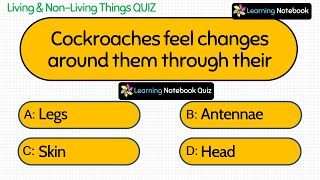 Living and Non Living Things Quiz  Living and nonliving things quiz [upl. by Amimej]