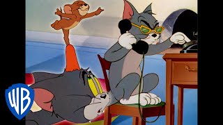 Tom und Jerry auf Deutsch  Dein preisnominierter KurzfilmGuide  WB Kids [upl. by Aubarta211]