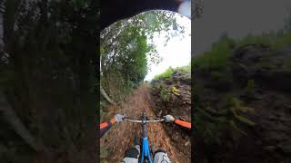 La Palma MTB mtb mtblife lapalma gopro gopromtb gopromax mtblifestyle [upl. by Honan]