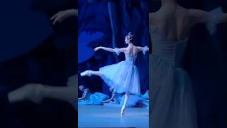 Svetlana Zakharova  バレエ balet ballett balletto ballet [upl. by Ylurt52]