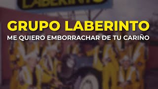 Grupo Laberinto  Me Quiero Emborrachar de Tu Cariño Audio Oficial [upl. by Elinnet]