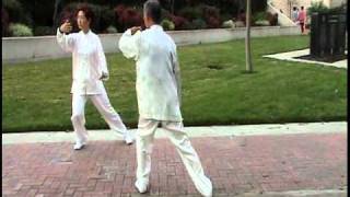 Two people mirror Tai Chi form 8 [upl. by Pape]