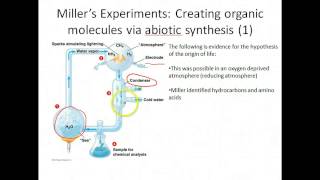 AP Biology The Origin of Life [upl. by Nickles]