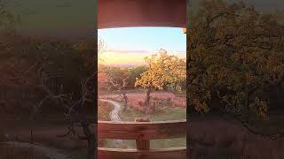 AUTUMN Sunset Vlog at LAPHAM PEAK 3  AUTUMN COLORS 🌅🍂 fall autumn cozy fallambience midwest [upl. by Hayes]