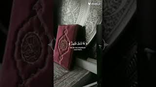 ٢٥ أكتوبر ٢٠٢٤ [upl. by Karil]