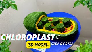 Chloroplast model biology project science exhibition NakulSahuArt [upl. by Andrel268]