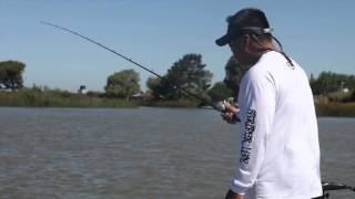 Large Delta Striper using Spoons  Jigging for striped bass [upl. by Ecart]