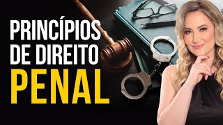 Princípios do DIREITO PENAL Resumo para Iniciantes [upl. by Karyl]