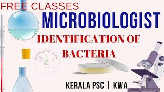 IDENTIFICATION OF BACTERIA  Microbiologist Exam keralawaterauthority kpsc Bacteriologist [upl. by Iborian130]