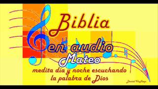 Mateo Cap 10 Biblia Hablada [upl. by Damien487]