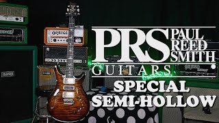 PRS Has NEW Core ModelsSpecial SemiHollow  Working Class Music [upl. by Heurlin]