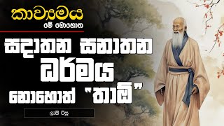 සදාතන සනාතන ධර්මය  කාව්‍යමය මේ මොහොත [upl. by Aiekram]