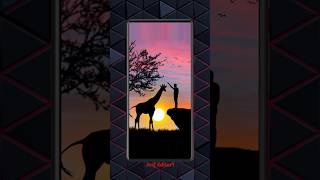 Boy And Giraffe wander foul moment picsart shorts video editing tutorial [upl. by Noved920]