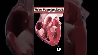 ejection fraction of left vertical 60 uknursing overseasnurs nursingprocess internationalnurses [upl. by Gneh]