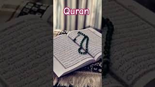 Quran translation [upl. by Nomzed]