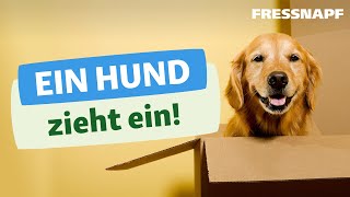 Ein Hund zieht ein  Alles zum Start mit dem neuen Hund [upl. by Clarke]