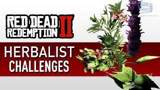 Red Dead Redemption 2  Herbalist Challenge Guide [upl. by Kavanaugh]