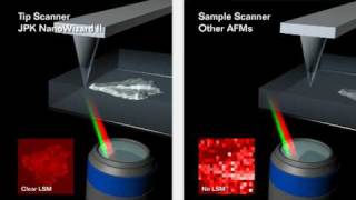 Atomic Force Microscopy  JPK NanoWizard® AFM  tip scanner vs sample scanner [upl. by Edyak578]