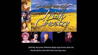 The Best Of Irish Country Music Collection  70s 80s amp 90s  Classic Irish Country [upl. by Trish]