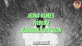 Irina Rimes  Pădure Karaoke Version  EPul quotOriginiquot [upl. by Marb]