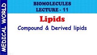 BIOMOLECULES  COMPOUND AND DERIVED LIPIDS  LECTURE 11 [upl. by Micheil]