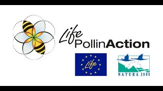 LIFE POLLIN ACTION presentazione progetto [upl. by Idnyc220]