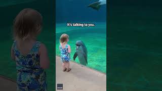 Little girl and super social dolphin stop to have a sweet chat  Humankind shorts goodnews [upl. by Atinaujnas794]