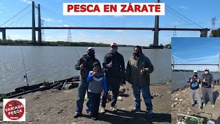 Pesca en costanera de Zárate con amigos VARIADA PESCA [upl. by Ezara107]