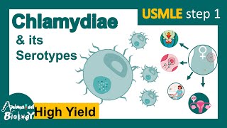 Chlamydia trachomatis and its serotypes  Trachoma  neonatal keratoconjunctivitis  USMLE [upl. by Honor184]