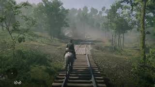 Red Dead Redemption 2 Ambience Searching for Moccasin Orchids Around Butcher Creek [upl. by Shieh]