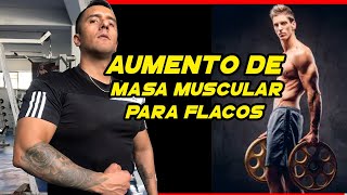 Descubre cómo ganar masa muscular si eres flaco  ECTOMORFO Y GANAR MASA MUSCULAR [upl. by Eidnil503]