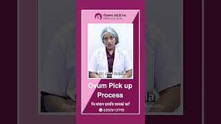 What Is Ovum Pic Up Process eggretrieval [upl. by Er933]