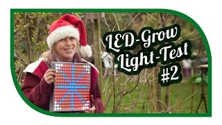 LED Grow Light Test 2 ☀️ Jungpflanzenanzucht Aussaat ☀️ Pflanzenlicht ☀️ Pflanzenlampen [upl. by Rew]